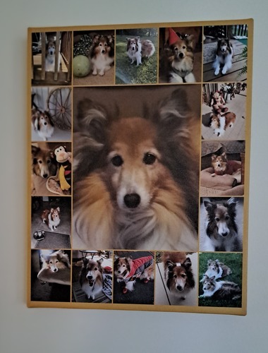 Customer Photo by Regina for Review Print Photo Collage Canvas 11x14"